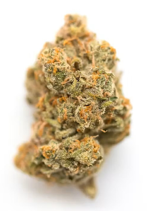 Outdoor Flower